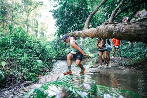 BIB: 
                            <button type="button" onclick="openModal(25441534)" class="btn btn-primary btn-sm float-right btn-popup" data-toggle="modal" data-target=".modal-high-quality">
                        <i class="fas fa-shopping-cart"></i> Add to Cart
                    </button>
                                            <button type="button" onclick="isThisMe(25441534, true)" class="btn btn-success btn-sm float-right btn-popup btn-isme hidden" data-toggle="tooltip" data-placement="bottom" title="นี่คือรูปของคุณใช่ไหม คลิกที่นี่เพื่อเอาเข้าอัลบั้ม">
                        <i class="fas fa-plus"></i> Add to album
                    </button>
                    <button type="button" onclick="isThisMe(25441534, false)" class="btn btn-warning btn-sm float-right btn-popup btn-isnotme hidden">
                        <i class="fas fa-ban"></i> Remove from album
                    </button>